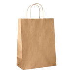 Twisted Handle Kraft Boutique Paper Carry Bags (125 bags/ctn)